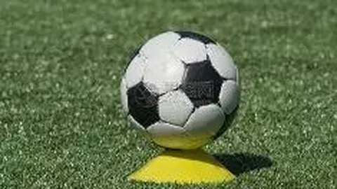 篮球盛宴！湖人巅峰对决雄鹿，揭秘焦点战背后的精彩看点