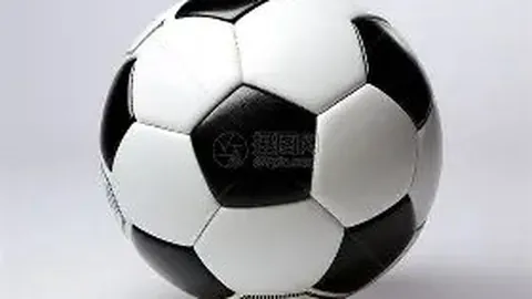 元旦获封爵位，修夫基晋升英格兰第四位贵族；三狮队两获欧国杯亚军殊荣