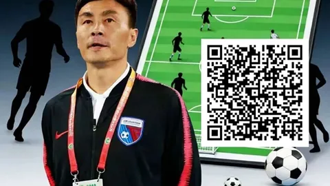 博鱼体育